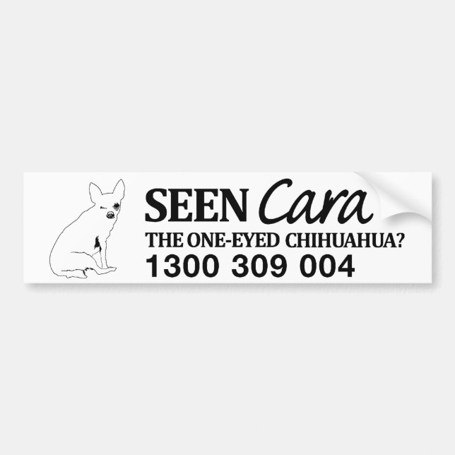 FindCara BumperSticker Bumper Sticker (Front)