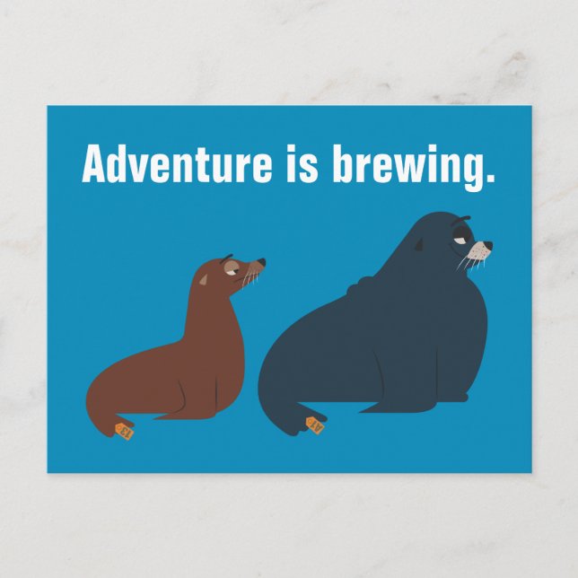 Finding Dory | Fluke & Rudder Postcard (Front)