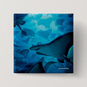 Finding Dory   Hide and Seek - Rays Button