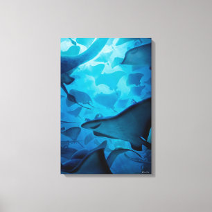 Finding Dory   Hide and Seek - Rays Canvas Print