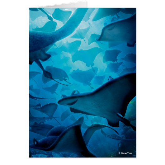 Finding Dory | Hide and Seek - Rays Cards (Front)
