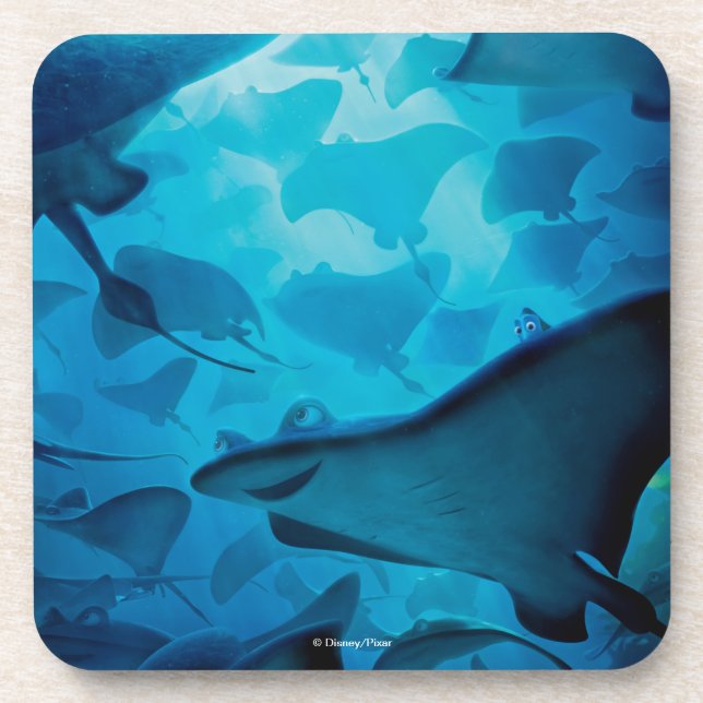 Finding Dory | Hide and Seek - Rays Coaster (Front)