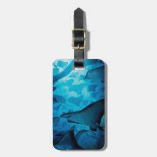 Finding Dory Hide and Seek - Rays Luggage Tag