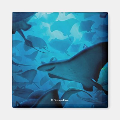 Finding Dory | Hide and Seek - Rays Magnet
