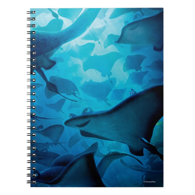 Finding Dory | Hide and Seek - Rays Notebook (Front)