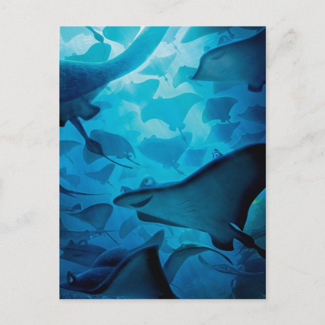 Finding Dory | Hide and Seek - Rays Postcard (Front)