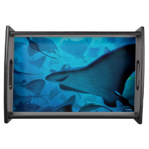 Finding Dory   Hide and Seek - Rays Serving Tray