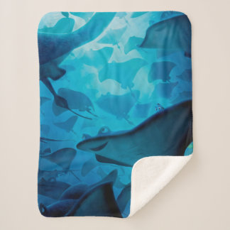 Finding Dory | Hide and Seek - Rays Sherpa Blanket