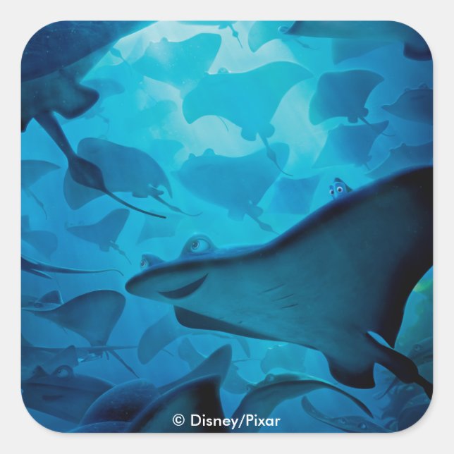 Finding Dory | Hide and Seek - Rays Square Sticker (Front)