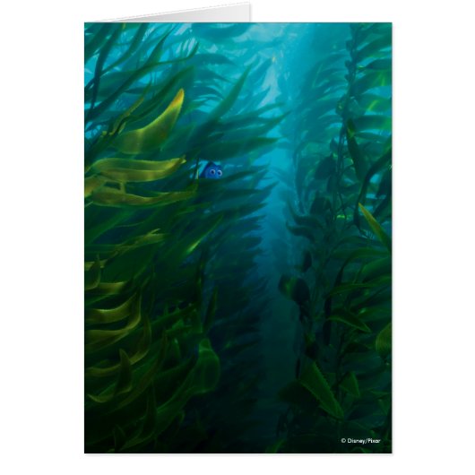 Finding Dory | Hide and Seek - Sea Kelp Cards (Front)