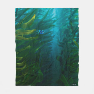 Finding Dory Hide and Seek - Sea Kelp Fleece Blanket
