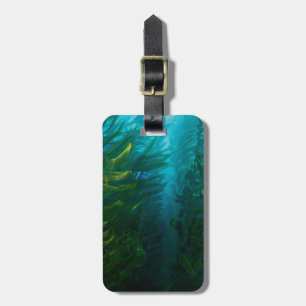 Finding Dory   Hide and Seek - Sea Kelp Luggage Tag