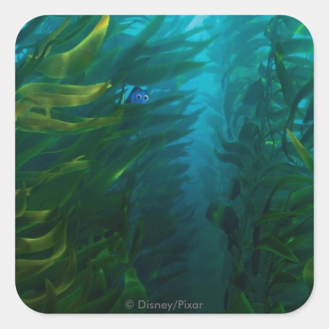 Finding Dory | Hide and Seek - Sea Kelp Square Sticker (Front)