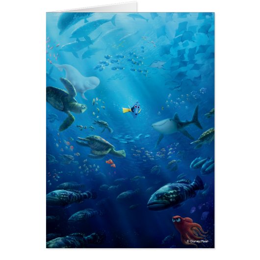 Finding Dory | Poster Art Cards (Front)