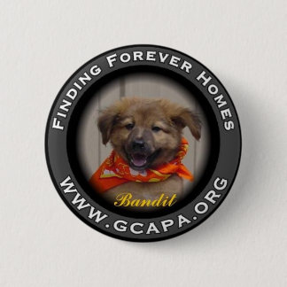 Finding Forever Homes Button