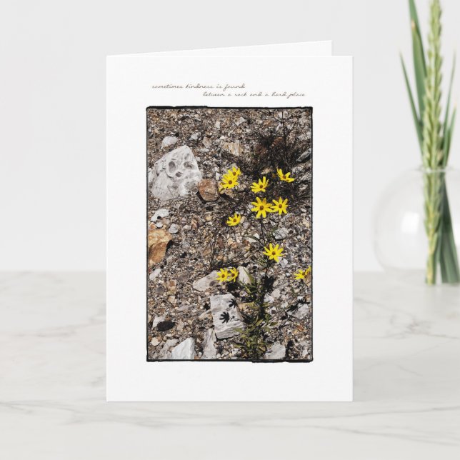 Finding Kindness Note Card (Front)