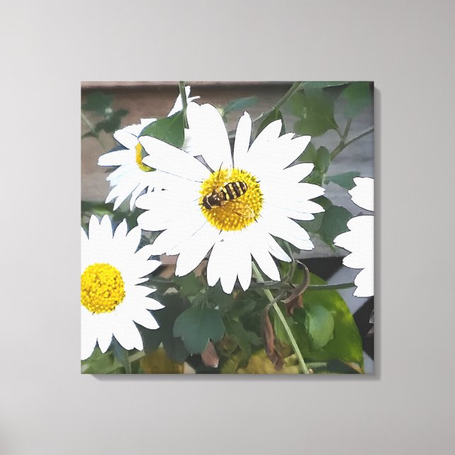 Finding Nectar Canvas Print (Front)