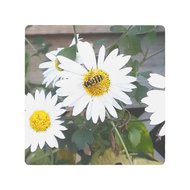 Finding Nectar Metal Print (Front)
