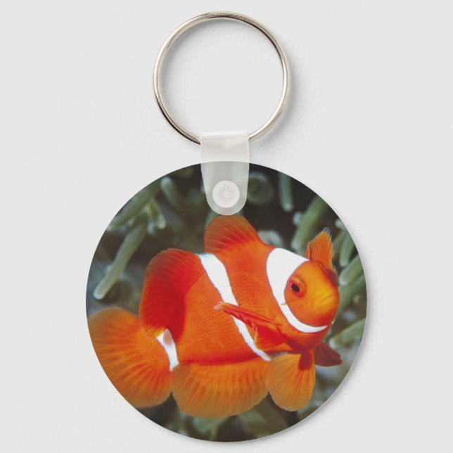 finding nemo keychain (Front)