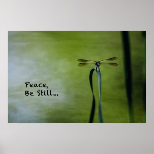 Finding Peace  Being Still __ Poster