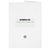 Finding peace card (Back)