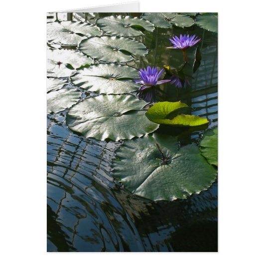 Finding peace card (Front)