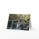 Findlay Falls I Card