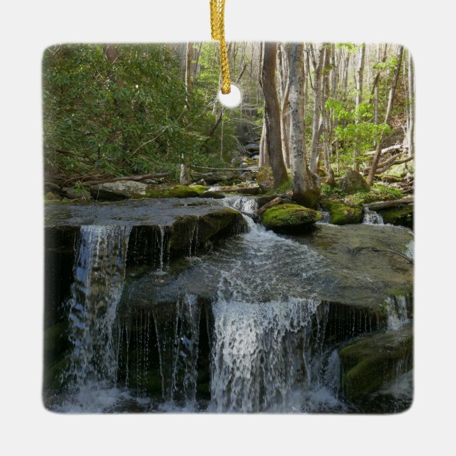 Findlay Falls I Ceramic Ornament (Front)