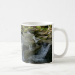 Findlay Falls I Coffee Mug
