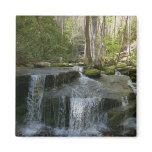 Findlay Falls I Magnet