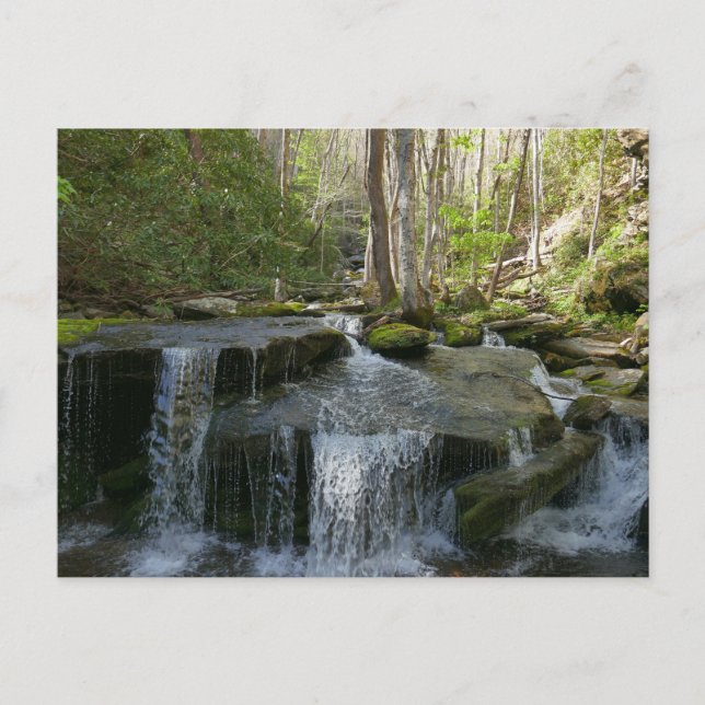 Findlay Falls I Postcard (Front)