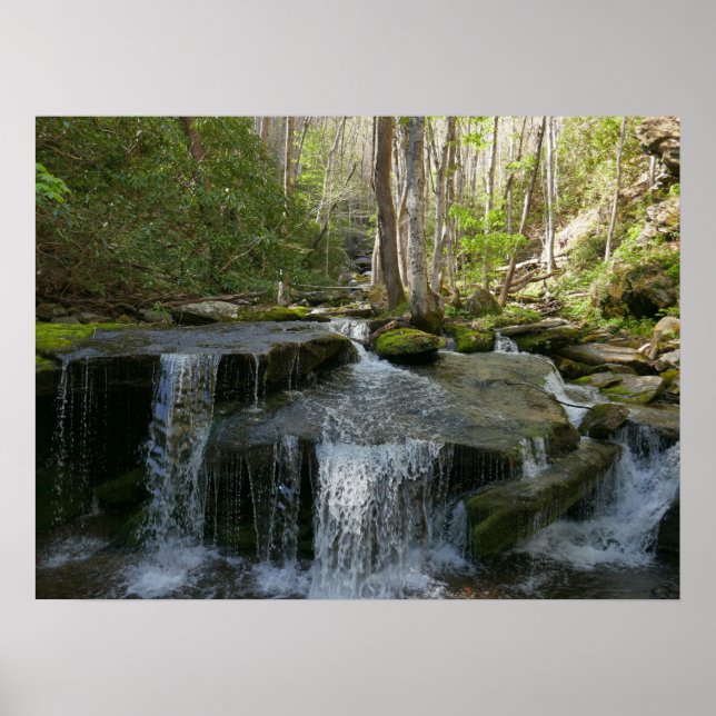 Findlay Falls I Poster (Front)