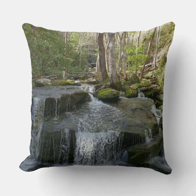 Findlay Falls I Throw Pillow (Front)