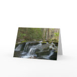 Findlay Falls II Card