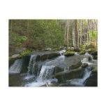 Findlay Falls II Postcard