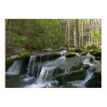 Findlay Falls II Poster