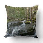 Findlay Falls II Throw Pillow
