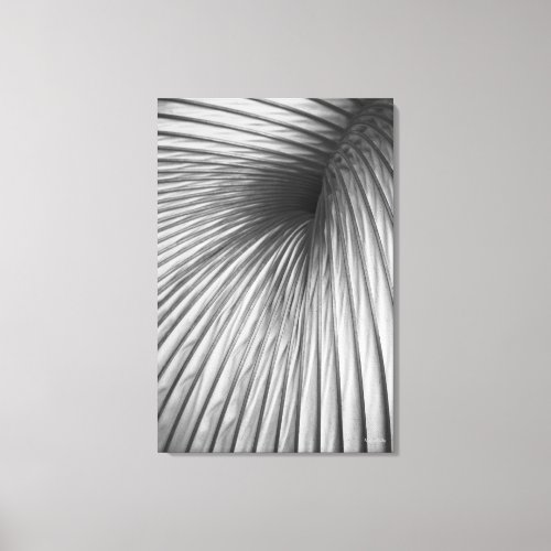 Fine Art Abstraction Extraction Canvas Print