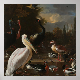 Fine art birds poster