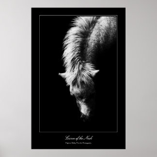 Fine Art Curve Of The Neck, gallery style Poster