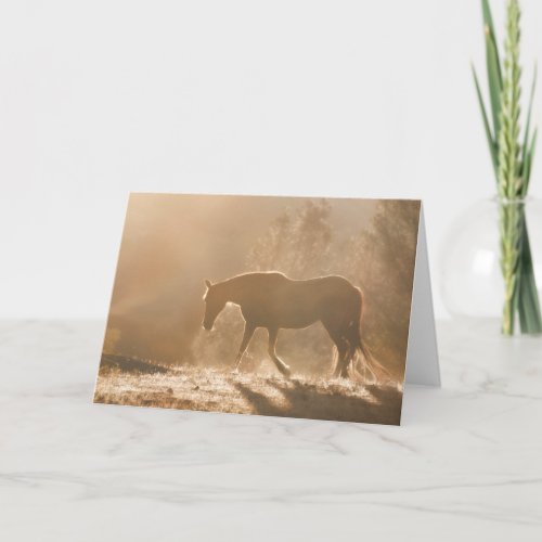 Fine Art Equine Blank Note Cards
