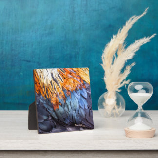 Fine Art Feather Plaque