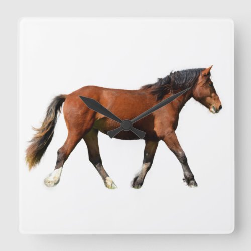 Fine Art Horse Painting Square Wall Clock