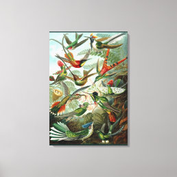 Fine Art Hummingbird - Art Forms of Nature Canvas Print