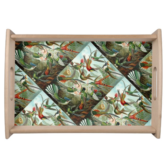 Fine Art Hummingbirds - Art Forms of Nature Serving Tray (Front)