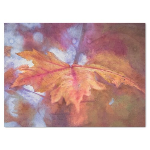 Fine Art Maple Leaf in Autumn Tissue Paper