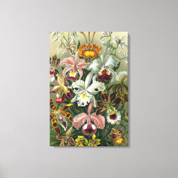 Fine Art Orchids - Art Forms of Nature Canvas Print