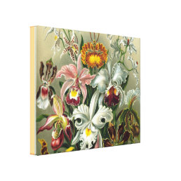 Fine Art Orchids - Art Forms of Nature Canvas Print