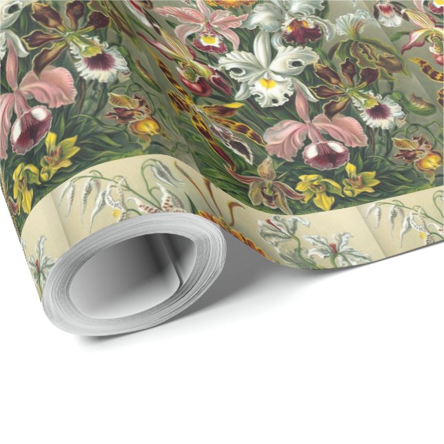 Fine Art Orchids - Art Forms of Nature Wrapping Paper (Roll Corner)