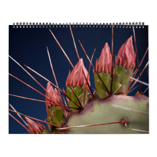 Fine Art Photography of Cacti and Succulents Calendar